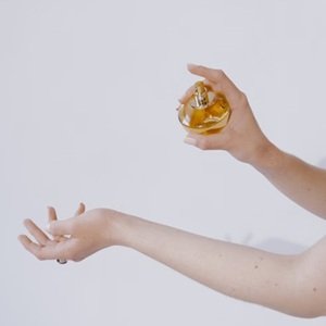 Perfumes & Colognes