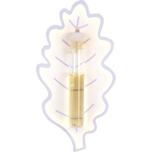 Ines De La Fressange Womens Eau De Parfum Vial